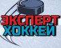 Блог Telegram Хоккейный эксперт • Приватный канал – отзывы об Александре aleksandr_hockey