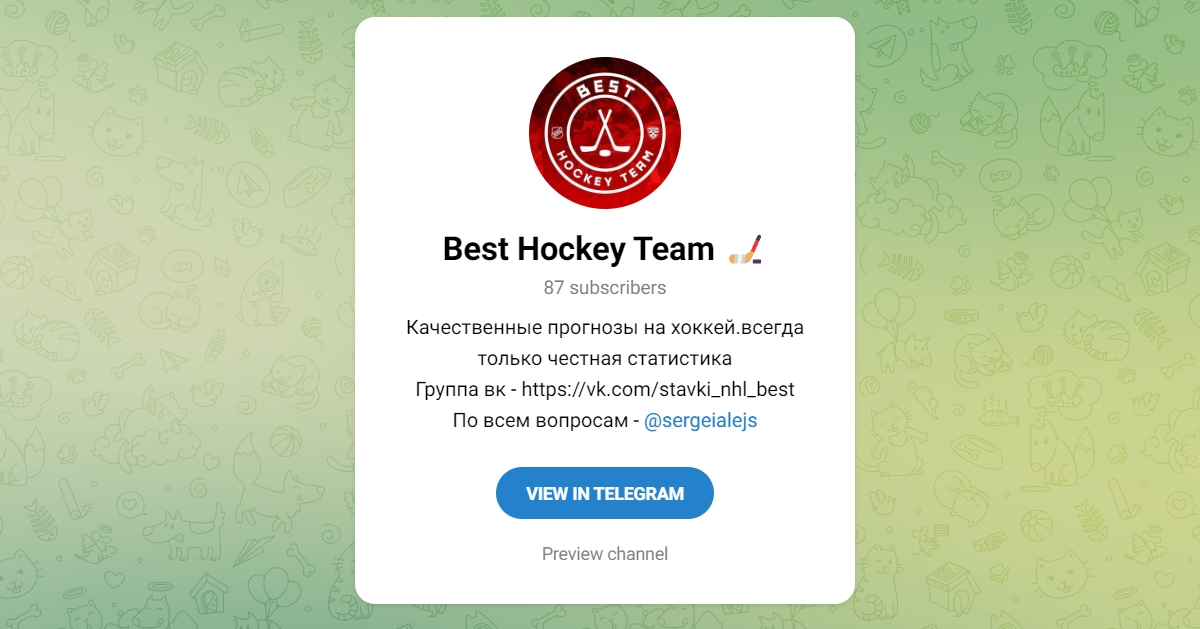 Внешний вид телеграм канала Best Hockey Team