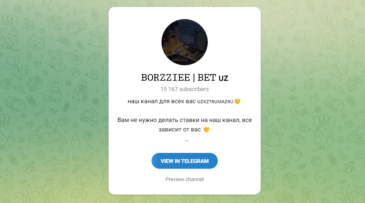 Внешний вид телеграм канала Borzziee Bet