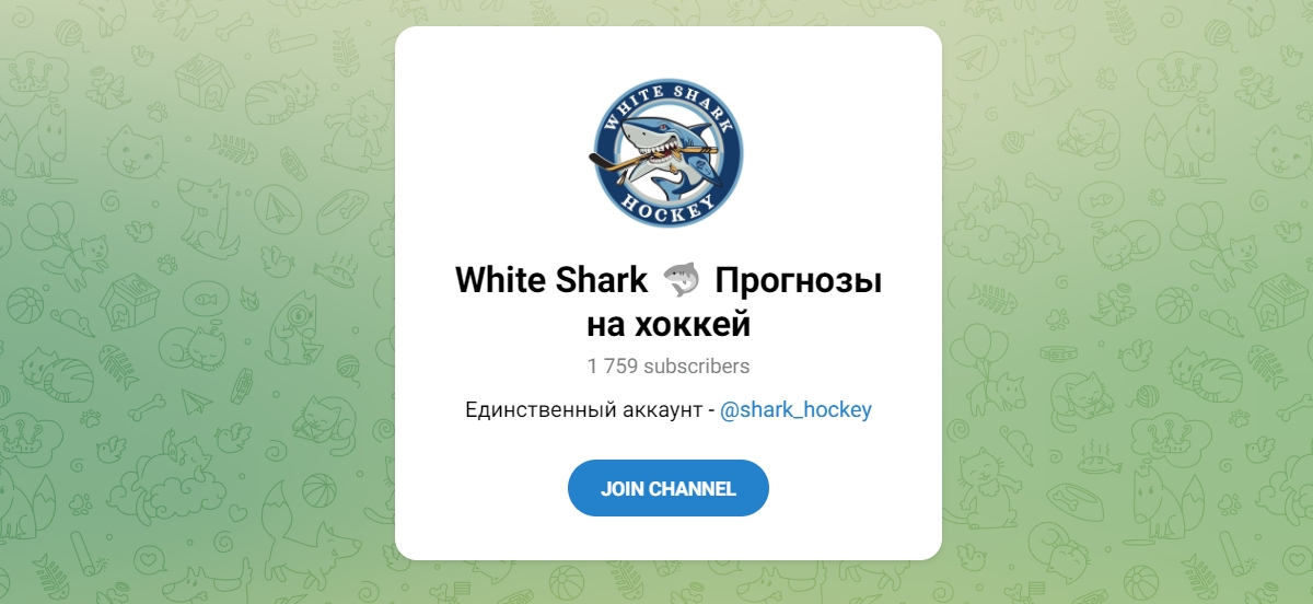 Внешний вид телеграм канала White Shark