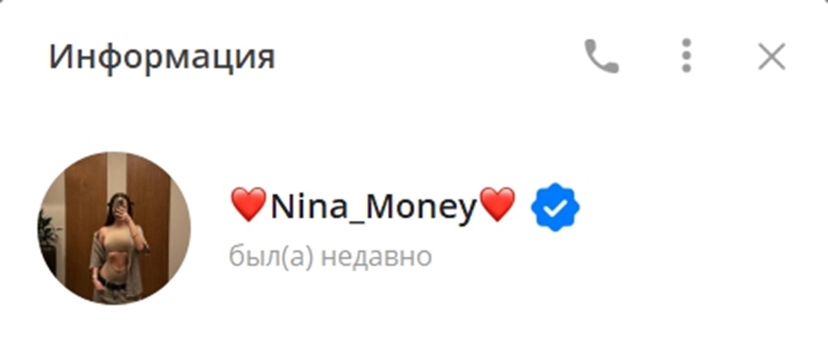 Внешний вид телеграм канала Nina_Money