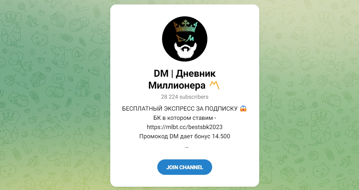 Внешний вид телеграм канала DM Дневник Миллионера