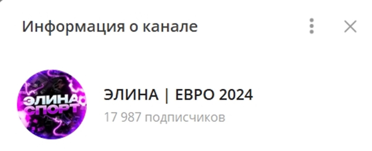 Внешний вид телеграм канала Элина Евро 2024