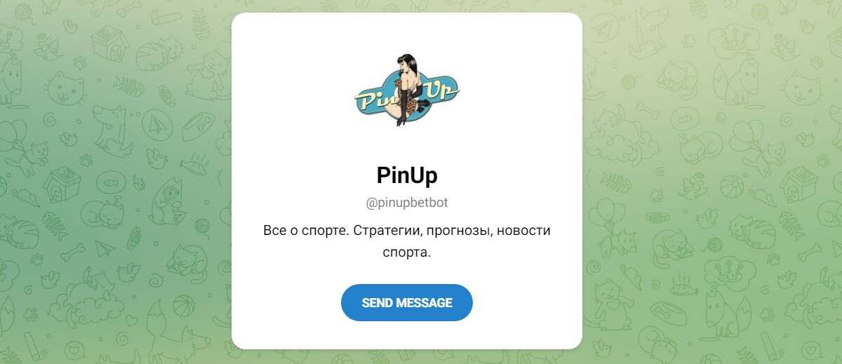 Внешний вид телеграм канала PinUp