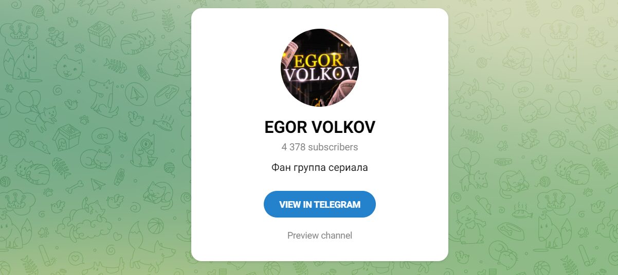 Внешний вид телеграм канала EGOR VOLKOV