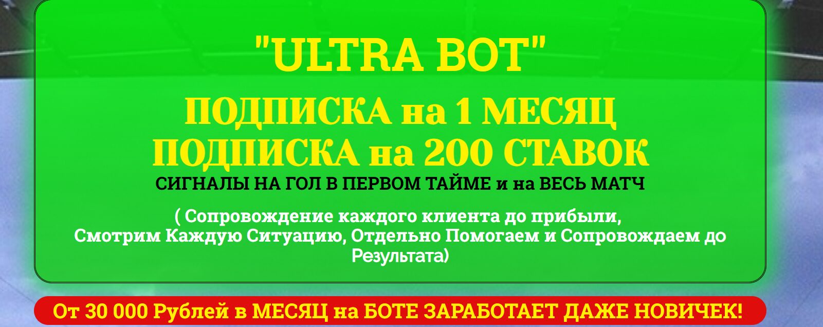 ULTRA BOT — помощь в ставках, отзывы